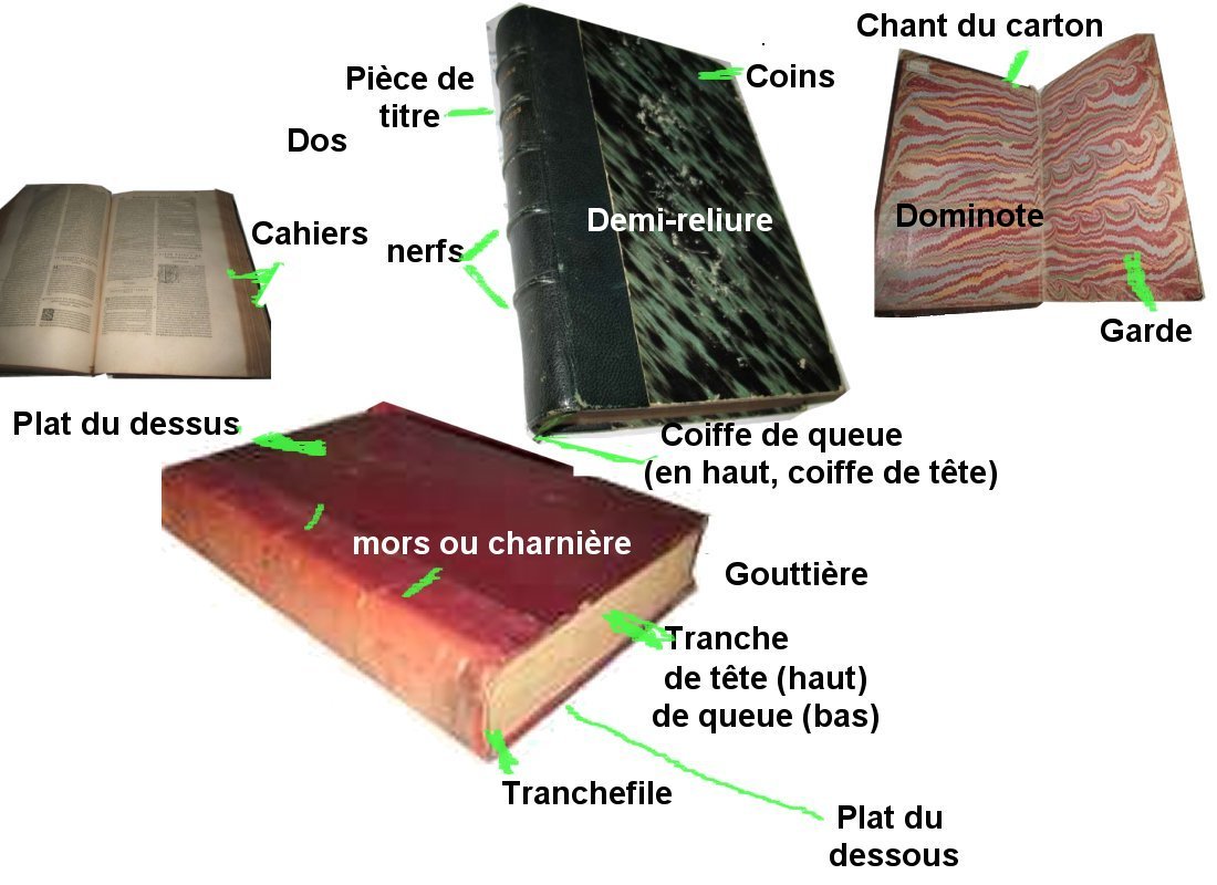 Les Différentes Parties D'un Livre Glossaire du libraire, description du livre ancien